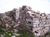 43 RUDERI